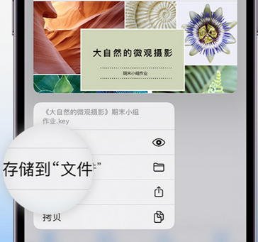 右玉apple维修中心分享iPhone文件应用中存储和找到下载文件