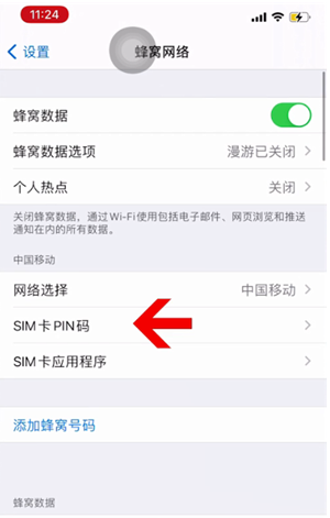 右玉苹果14维修网分享如何给iPhone14的SIM卡设置密码 