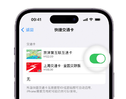 右玉apple维修点分享iPhone上更换Apple Pay快捷交通卡手绘卡面 