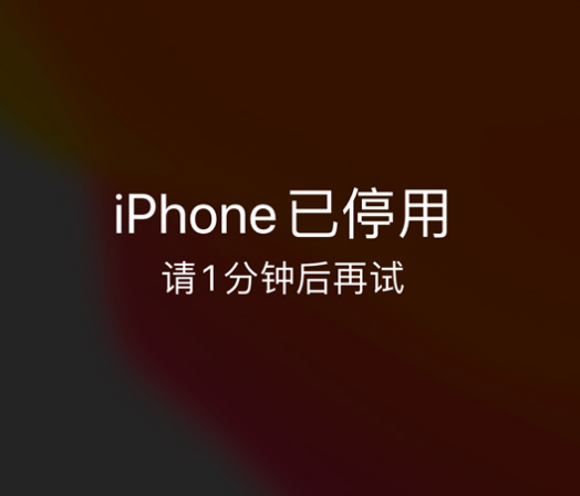 右玉苹果手机维修分享:iPhone 显示“不可用”或“已停用”怎么办？还能保留数据吗？ 