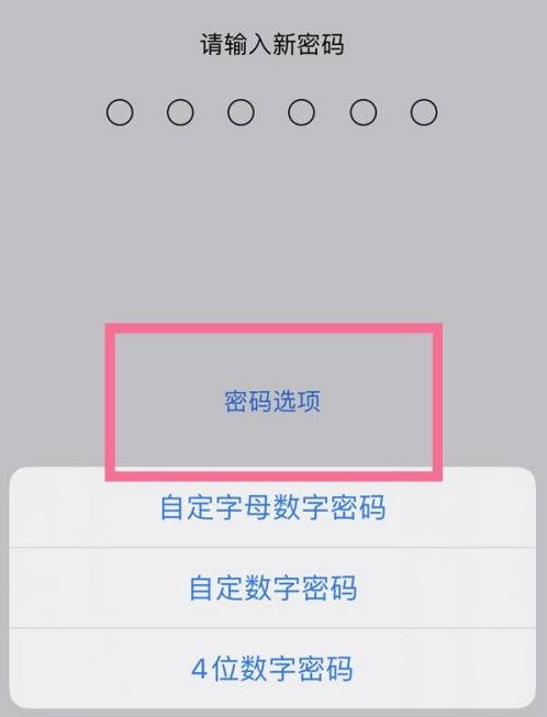 右玉苹果14维修分享iPhone 14plus设置密码的方法 