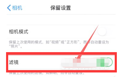 右玉苹果13维修分享iPhone13拍照有绿点是怎么回事 