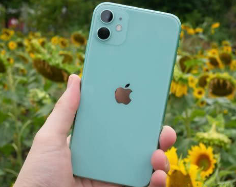 右玉苹果维修点分享iPhone 11锁屏密码认知与使用科普 